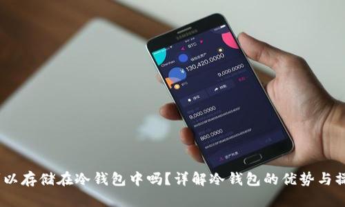 USDT可以存储在冷钱包中吗？详解冷钱包的优势与操作指南