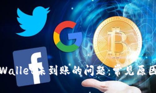 如何解决tpWallet未到账的问题：常见原因及解决方案