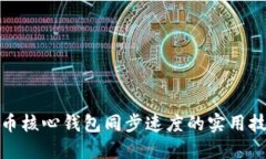 提升比特币核心钱包同步
