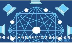 全面解析盗火币钱包的USDT及其安全性与使用方法