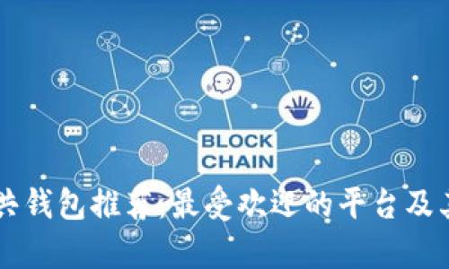 区块链公共钱包推荐：最受欢迎的平台及其优势分析