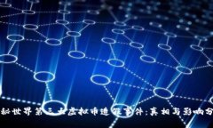 揭秘世界第三大虚拟币造假事件：真相与影响分