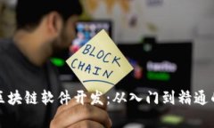全面解析区块链软件开发
