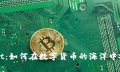 狗币与tpWallet：如何在数字