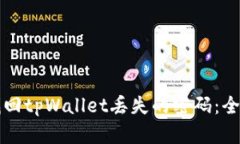 如何找回tpWallet丢失的密码：全面指南