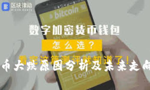 虚拟币大跌原因分析及未来走向展望