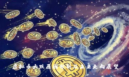 虚拟币大跌原因分析及未来走向展望