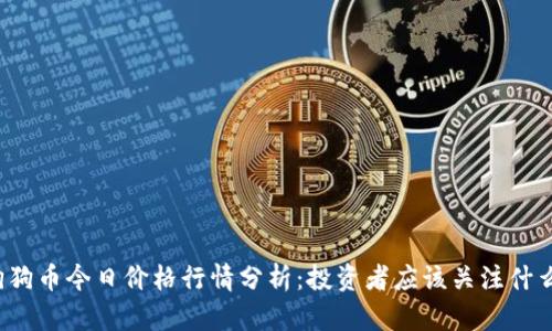 狗狗币今日价格行情分析：投资者应该关注什么？